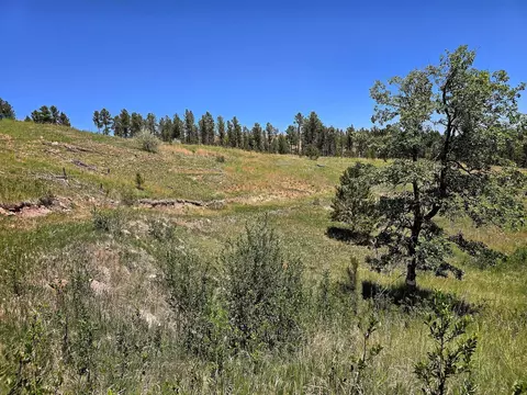13752 Borglum Rd, Keystone, SD 57751 photo 20