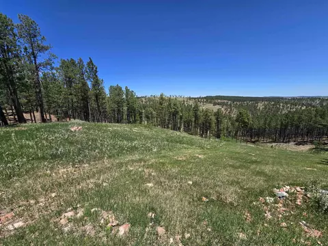 13752 Borglum Rd, Keystone, SD 57751 photo 15