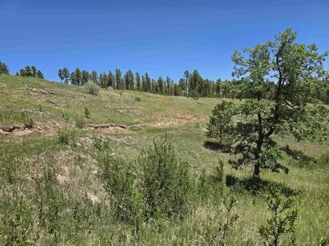 13752 Borglum Rd, Keystone, SD 57751 photo 20