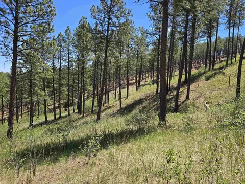 13752 Borglum Rd, Keystone, SD 57751 photo 19