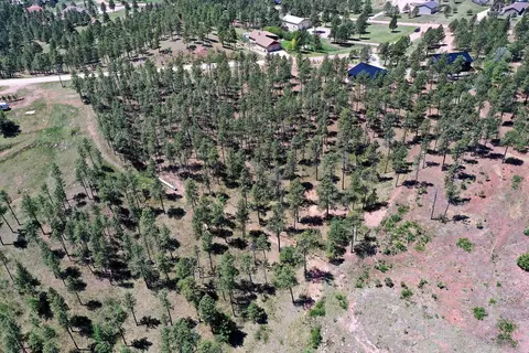 13752 Borglum Rd, Keystone, SD 57751 photo 8