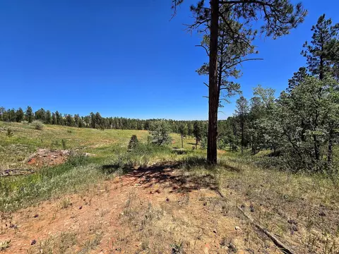13752 Borglum Rd, Keystone, SD 57751 photo 30