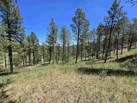 13752 Borglum Rd, Keystone, SD 57751 photo 27