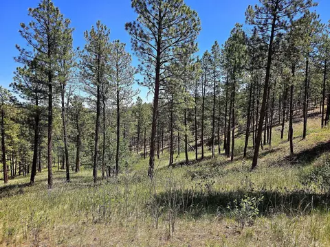 13752 Borglum Rd, Keystone, SD 57751 photo 28