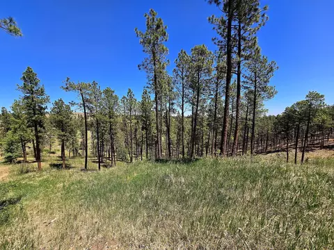 13752 Borglum Rd, Keystone, SD 57751 photo 31