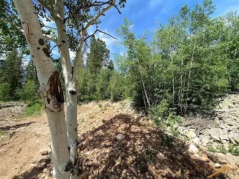 lot24 Blue Sky Loop, Lead, SD 57754 photo 7