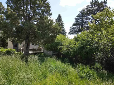 Exterior - 802 Miners Ave, Lead, SD 57754 photo 4 of 4
