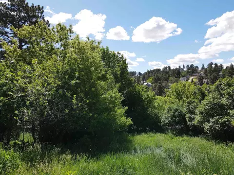 Other - 802 Miners Ave, Lead, SD 57754 photo 2 of 3