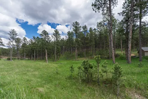 tbd Caledonia Trl, Custer, SD 57730 photo 17