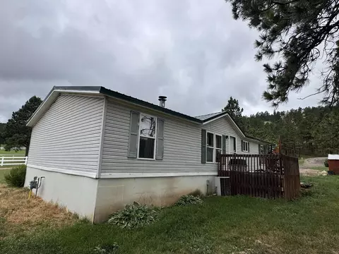21113 Brimstone Pl, Sturgis, SD 57785 photo 16