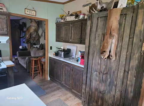 21113 Brimstone Pl, Sturgis, SD 57785 photo 3