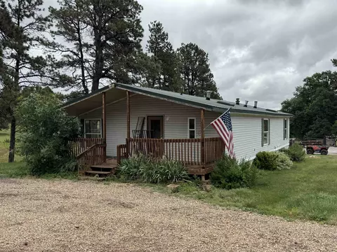 21113 Brimstone Pl, Sturgis, SD 57785 photo 13