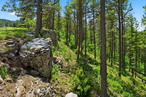 Other - 172 W Pine St, Spearfish, SD 57783 photo 5 of 5