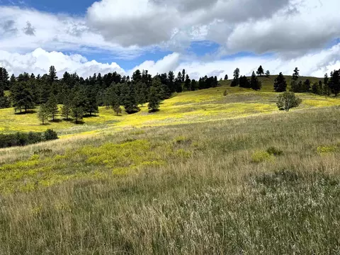 tbd Devils, Tower, WY 82714 photo 1