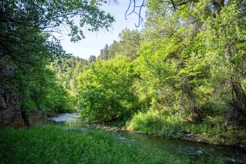 20582 Whitewood Creek Rd, Spearfish, SD 57783 photo 7