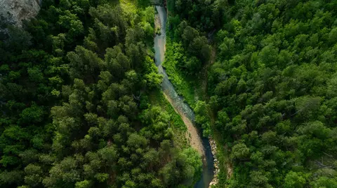 20582 Whitewood Creek Rd, Spearfish, SD 57783 photo 19