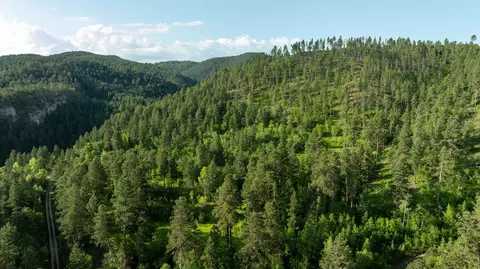 20582 Whitewood Creek Rd, Spearfish, SD 57783 photo 15