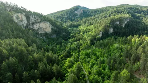 20582 Whitewood Creek Rd, Spearfish, SD 57783 photo 17