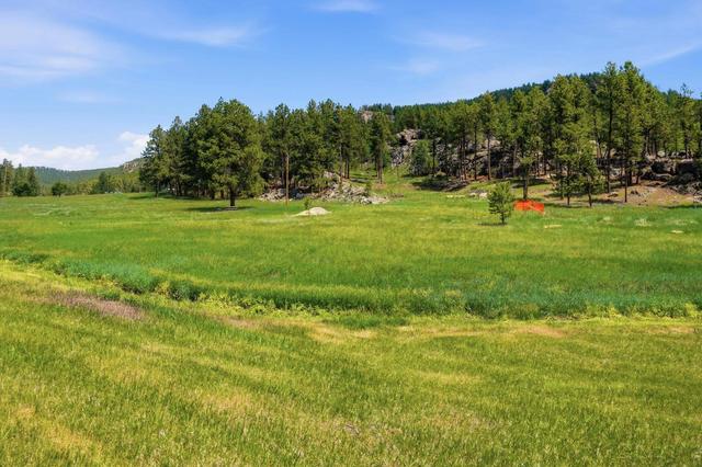 lot8 Red Star Dr, Custer, SD 57730