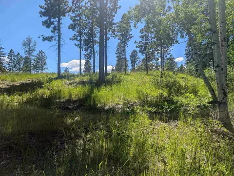 lot22 Overlook Pass, Lead, SD 57754 photo 10