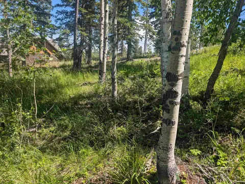 lot22 Overlook Pass, Lead, SD 57754 photo 13