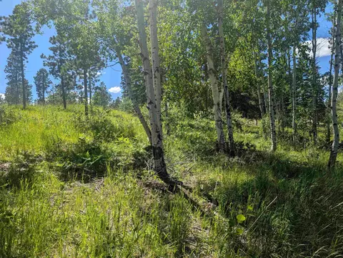 lot22 Overlook Pass, Lead, SD 57754 photo 11