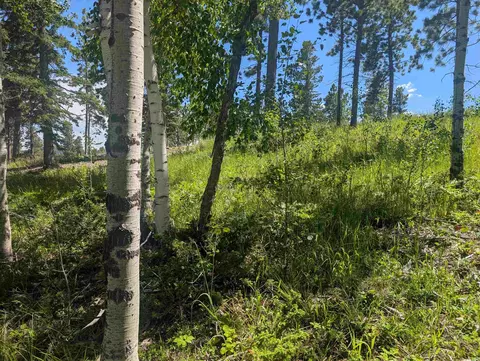 lot22 Overlook Pass, Lead, SD 57754 photo 15