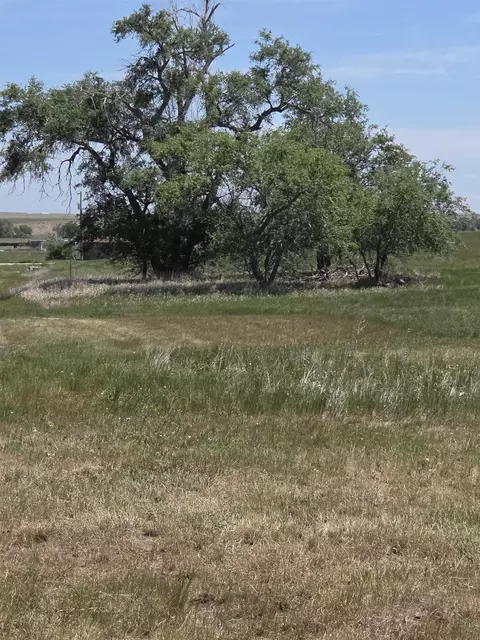 000 W 9th St, Oelrichs, SD 57763 photo 3