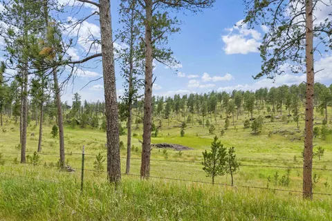 Other - 515 Belair Dr, Custer, SD 57730 photo 8 of 8