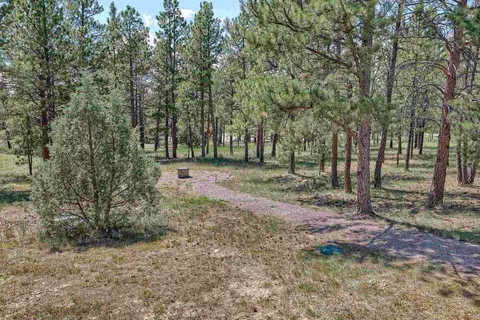 Other - 25555 Harriett Ward Rd, Edgemont, SD 57735 photo 4 of 6
