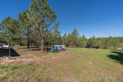 11969 S Park Dr, Custer, SD 57730 photo 24
