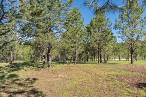 11969 S Park Dr, Custer, SD 57730 photo 25