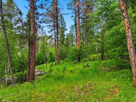lot7 Hickok Pl, Lead, SD 57754 photo 5