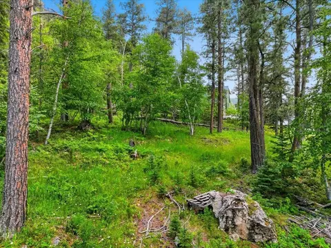 lot7 Hickok Pl, Lead, SD 57754 photo 3