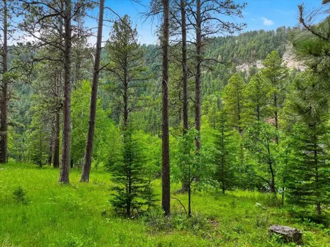 lot7 Hickok Pl, Lead, SD 57754 photo 6