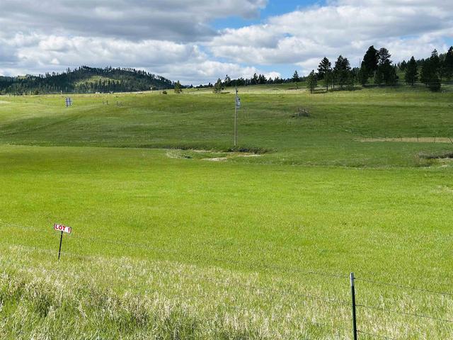 lot1 Mcvey Rd, Hill City, SD 57745