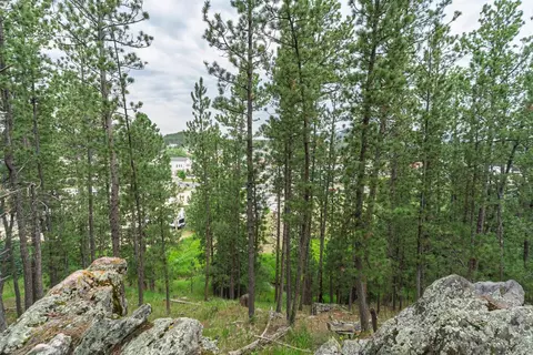 View/Area - 475 Gordon St, Custer, SD 57730 photo 6 of 9