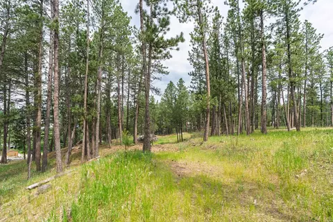 Other - 475 Gordon St, Custer, SD 57730 photo 12 of 14