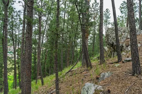 Other - 475 Gordon St, Custer, SD 57730 photo 10 of 14
