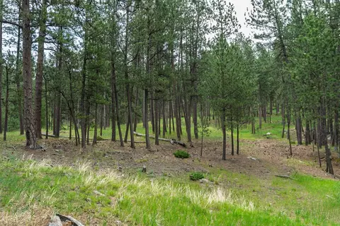 Other - 475 Gordon St, Custer, SD 57730 photo 11 of 14