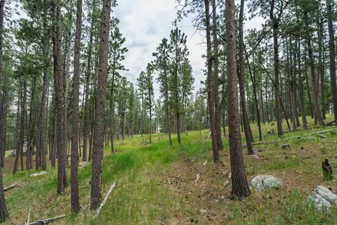 Other - 475 Gordon St, Custer, SD 57730 photo 13 of 14