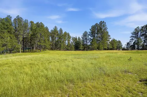 119 Surrey Ln, Custer, SD 57730 photo 2