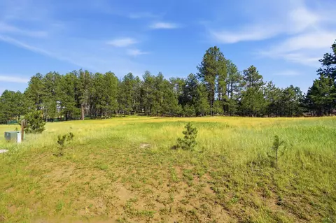 119 Surrey Ln, Custer, SD 57730 photo 3