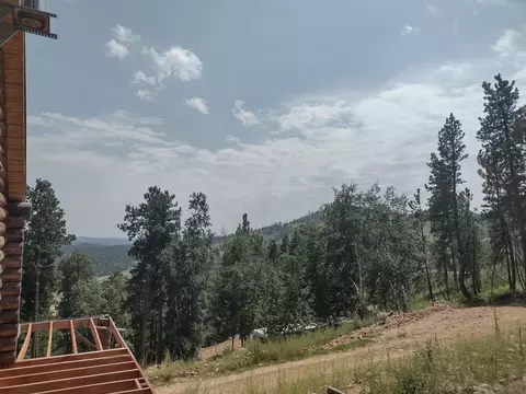Other - 21319 Cabin Rd, Lead, SD 57754 photo 2 of 10