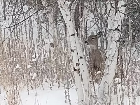 Other - 21319 Cabin Rd, Lead, SD 57754 photo 10 of 10