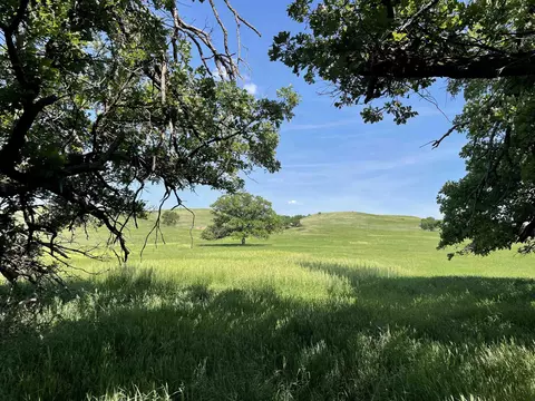 tbd Tract 4, White River, SD 57579 photo 19