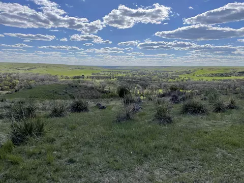 tbd Tract 4, White River, SD 57579 photo 6