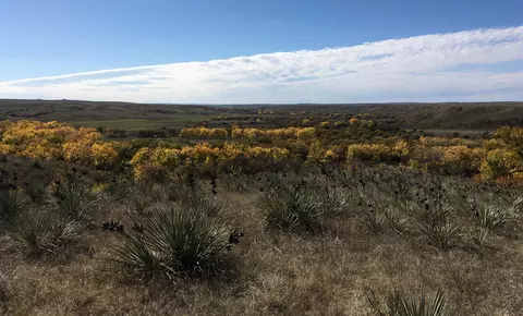 tbd Tract 4, White River, SD 57579 photo 2