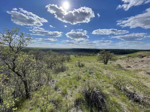tbd Tract 4, White River, SD 57579 photo 9