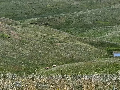 tbd 152nd Pl, Box Elder, SD 57719 photo 38